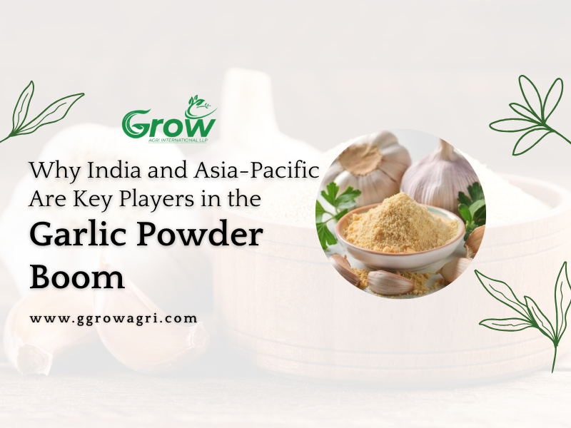 Why-India-and-Asia-Pacific-Are-Key-Players-in-the-Garlic-Powder-Boom-banner.png